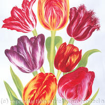 Tulip Group
