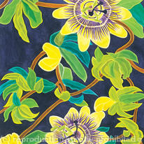Passion Flowers
