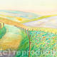 Chalk Pathways