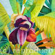 Banana Flower