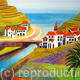 Madeira Terraces