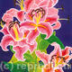 Lillies