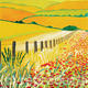 Downlands