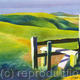 Downland Walk