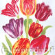 Tulip Group