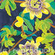 Passion Flowers