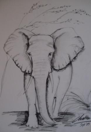 'Thani Atha'