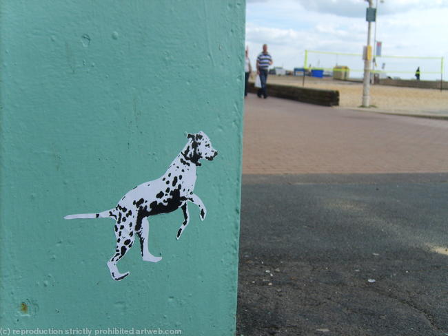 Spot