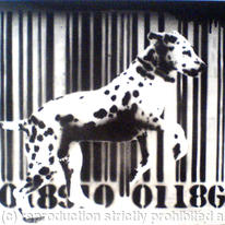 SpotDog Barcode