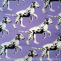 Spot Dog Wallpaper