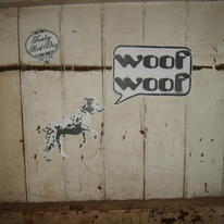 Spot-the-Dog