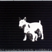 2 dogs on Pinstripe