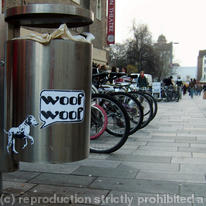 Spot Dog Run Bin