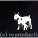 2 dogs on Pinstripe