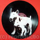 Two Dogs | £60 | 32 x 32cm | Spraypaint on Vinyl Record Two Dogs