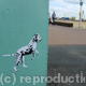 Spot Dog Run Brighton…