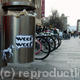 Spot Dog Run Bin