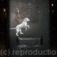 Spot Dog Run Post
