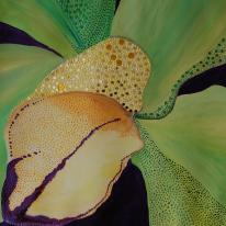 Orchid 1