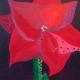 Red Amaryllis 2 | (sold) | | Red Amaryllis 2