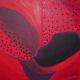 Red Amaryllis 3 | (sold) | | Red Amaryllis 3