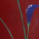 Calla Lili 1 | (sold) | | Calla Lili 1