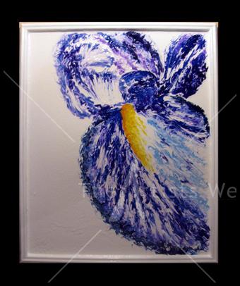 Iris