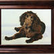 Portrait of Dog