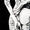 Contours Hands