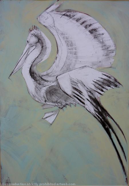 Pelican,blue