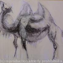 Camel 2 .