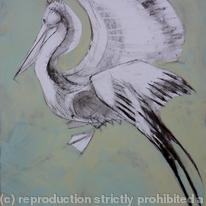Pelican,blue