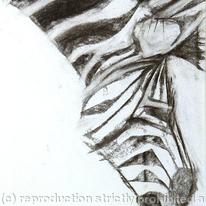 Zebra 2, detail