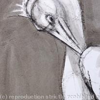 hidden Pelican, preening; detail.