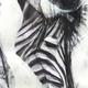 Zebra, detail.