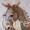 Detail of Don Quixote…
