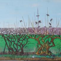 Hedgerow
