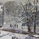 Snow Scene