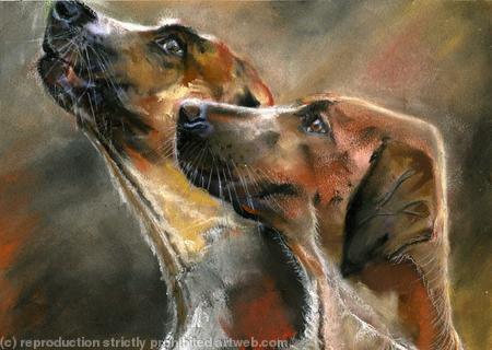 HOUNDS