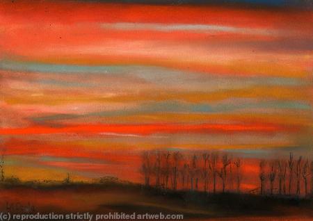 POPLARS SUNSET