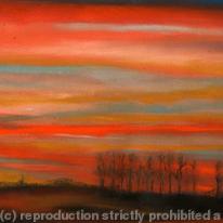 POPLARS SUNSET