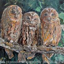hidden Tawny Trio