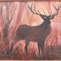 hidden Stag in sunlit wood