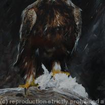 hidden Golden Eagle with prey