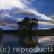 Blue reflections