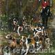 HUNTING SCENE