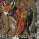 summer fox