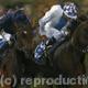 races