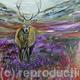 Stag in the evening…