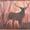 Stag in sunlit wood